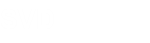 successvisiondatapvtltd.com favicon